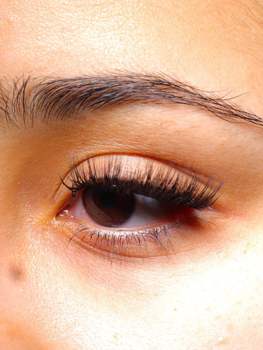 Swift Lash Cluster -AB-010