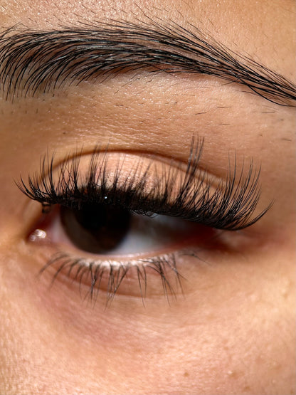 Swift Lash Cluster -AB-019 (Great for wispy natural look)