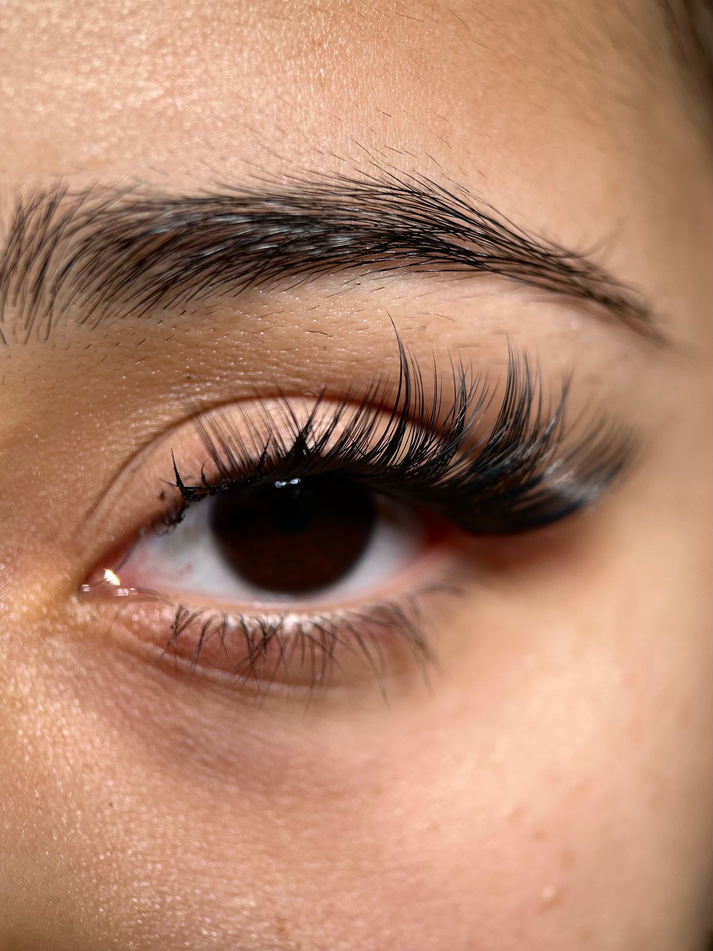 Swift Lash Cluster -AB-C-011