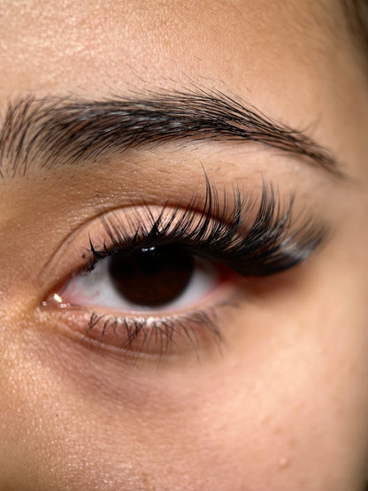 Swift Lash Cluster -AB-C-011