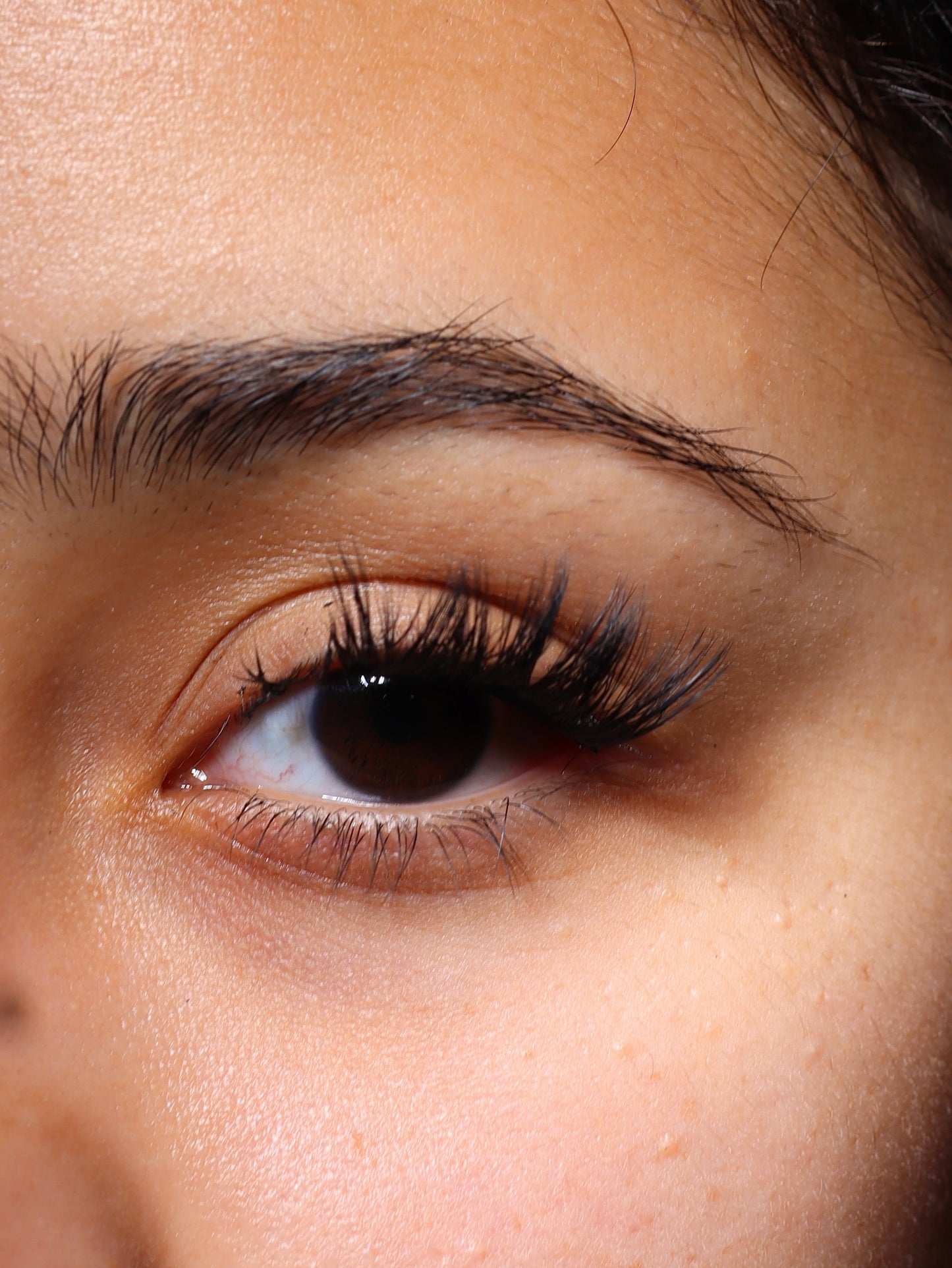 Swift Lash Cluster -AB-005