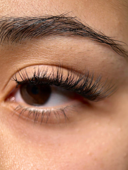 Swift Lash Cluster -AB-007