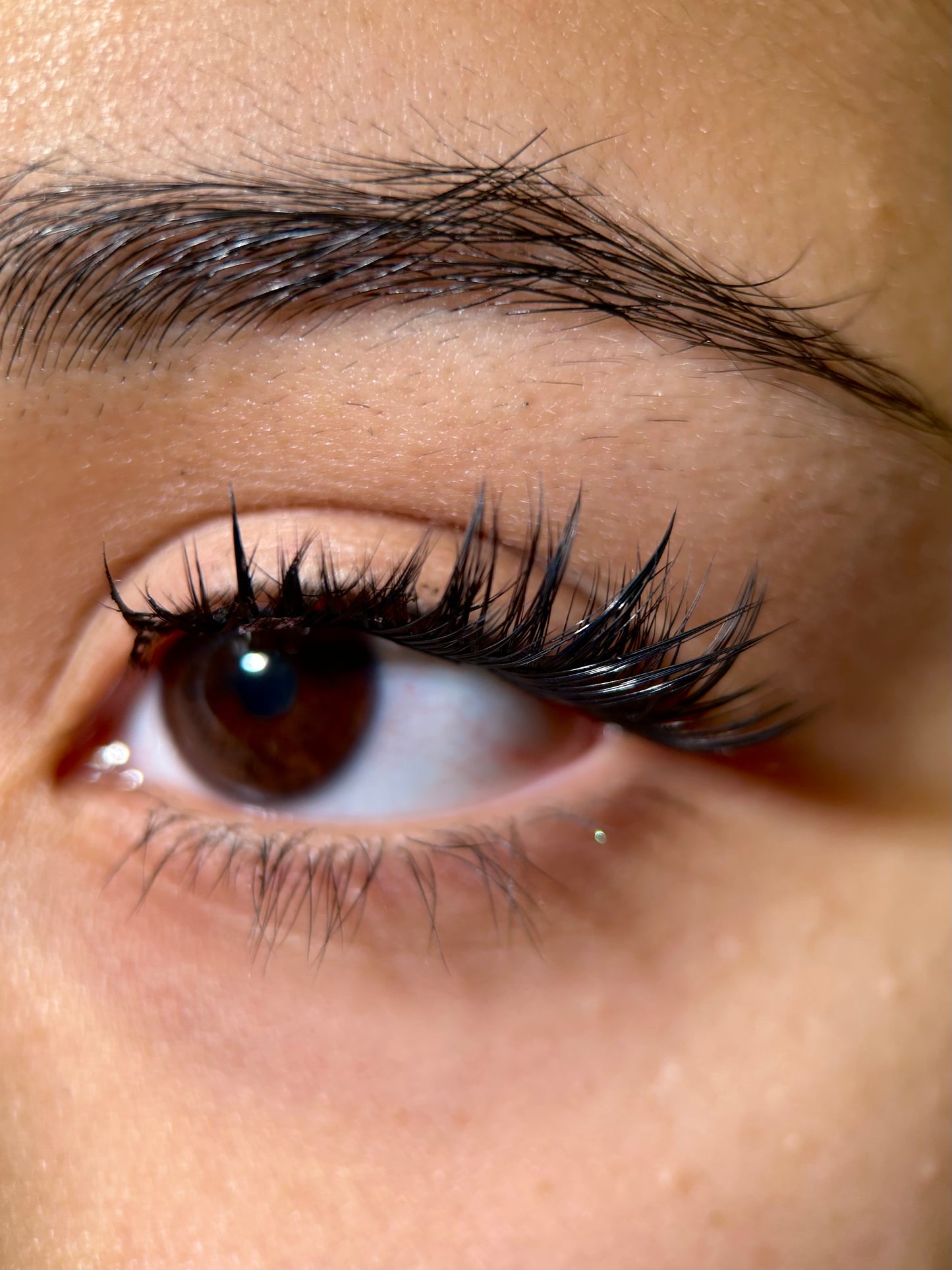 Swift Lash Cluster -AB-C-017 (Great for wispy look)