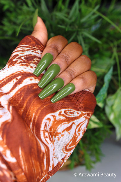 Glossy Olive 🫒