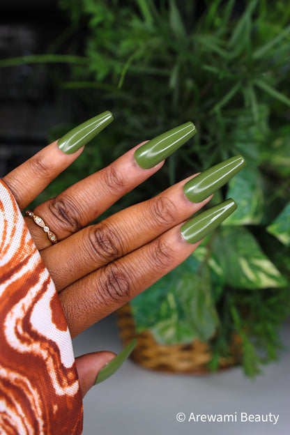 Glossy Olive 🫒