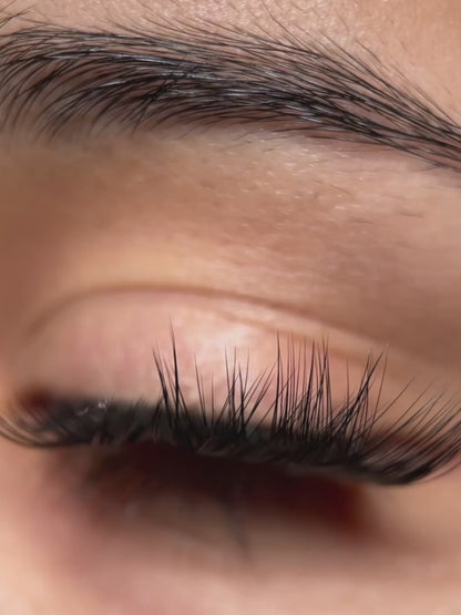 Swift Lash Cluster -AB-C-011