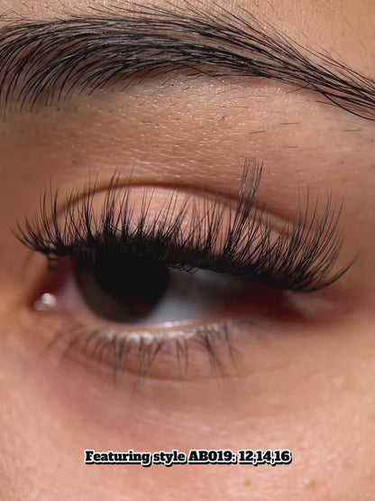 Swift Lash Cluster -AB-019 (Great for wispy natural look)